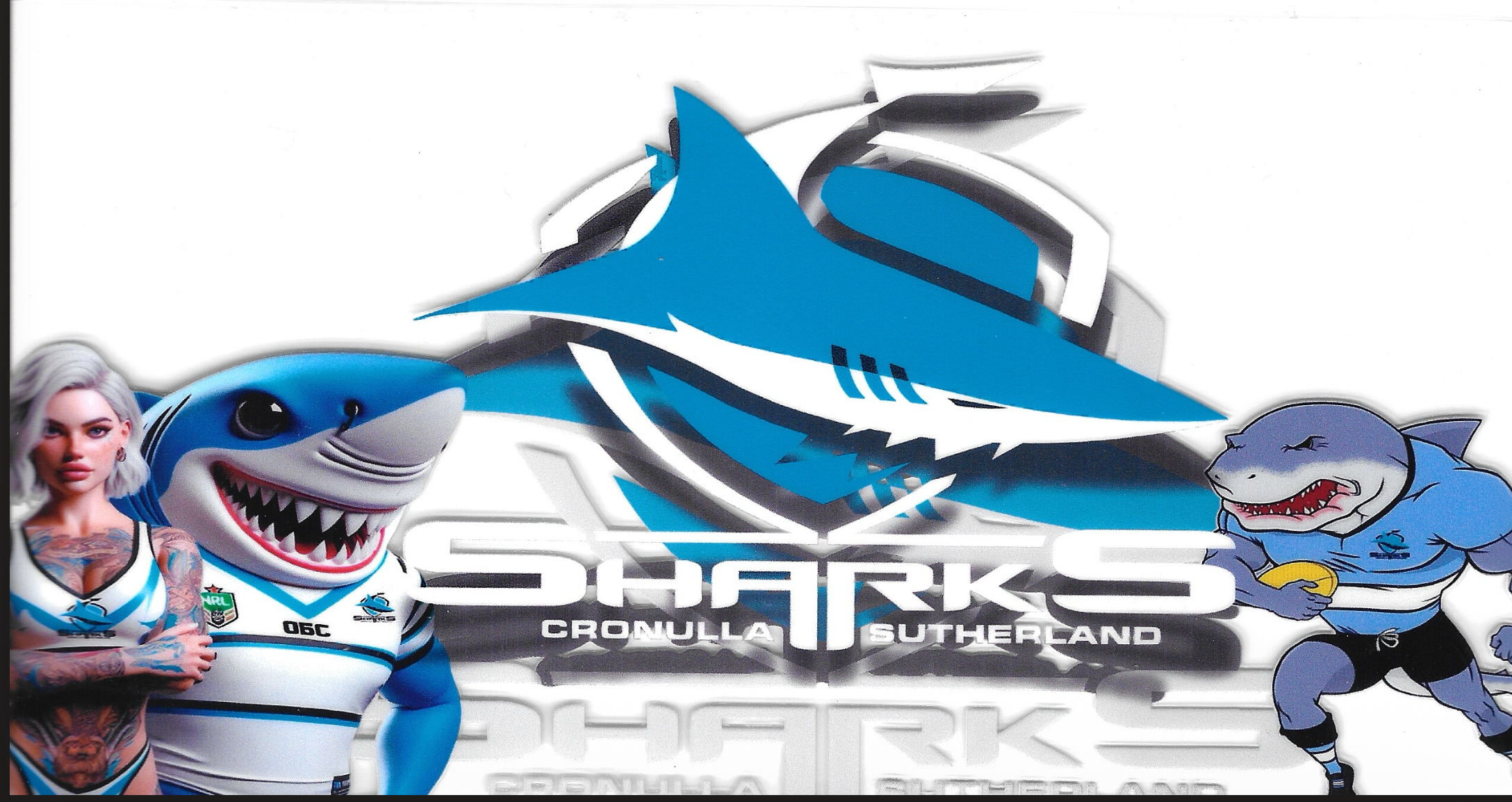 Sports Wraps